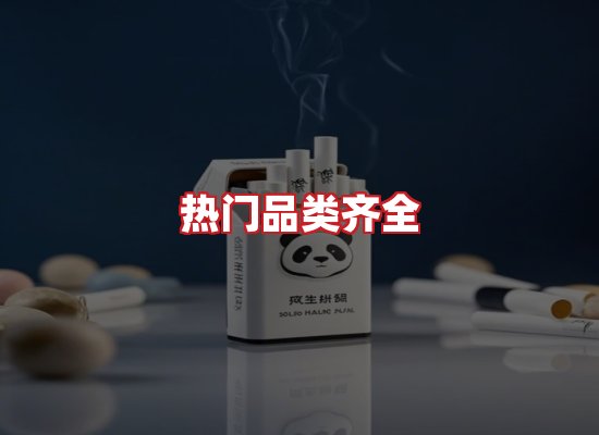 专业团队